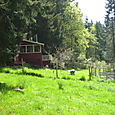 03. The House (3)