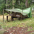 11. The Wood 'Shed'