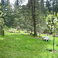 12. The Garden - East