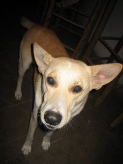 Mexico 2009 037