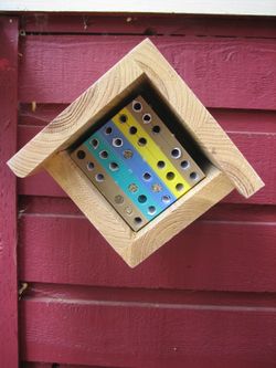 Mason Bee House 09