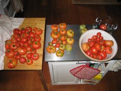 IMG_0562